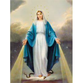 Obraz 30x40 - Matka Boża Niepokalana - OBRAZY RELIGIJNE