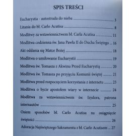 Modlitwy Pełne Ducha - Modlitwy do bł. Carlo Acutisa - zdjęcie 2 - Modlitwy Pełne Ducha - Modlitwy do bł. Carlo Acutisa