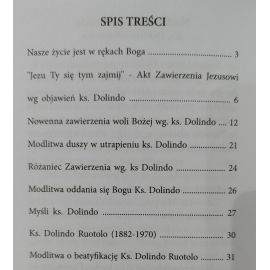 Jezu Ty się tym zajmij - modlitewnik - zdjęcie 2 - Jezu Ty się tym zajmij - modlitewnik