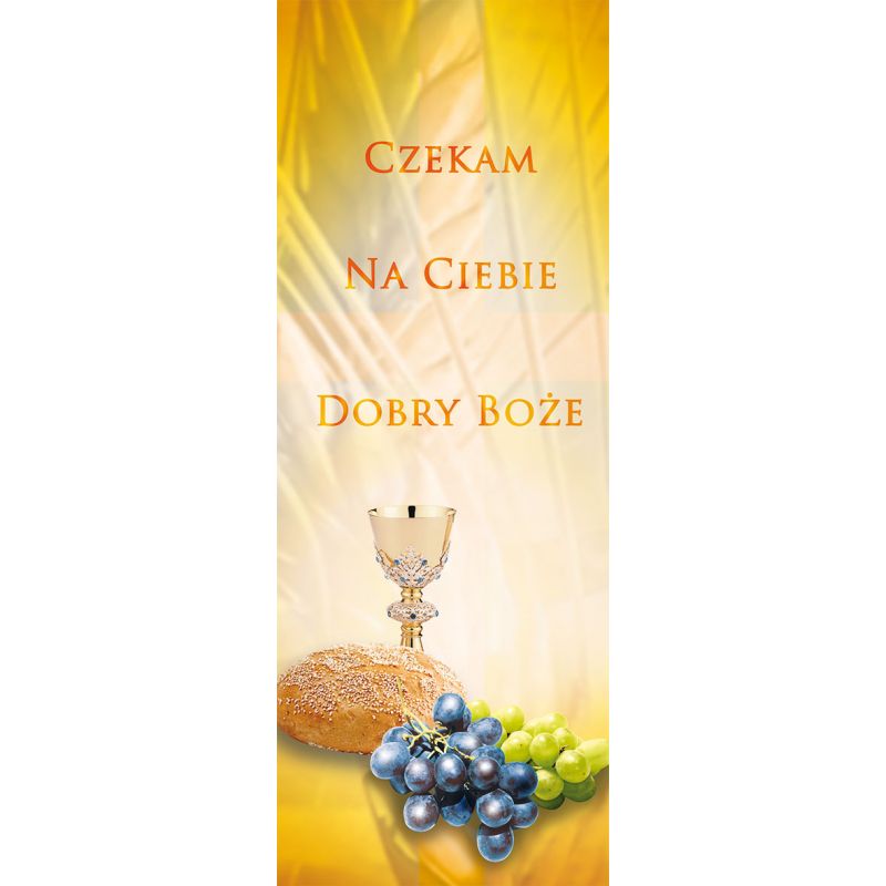 Baner Boże Ciało (18) - Baner Boże Ciało (18)