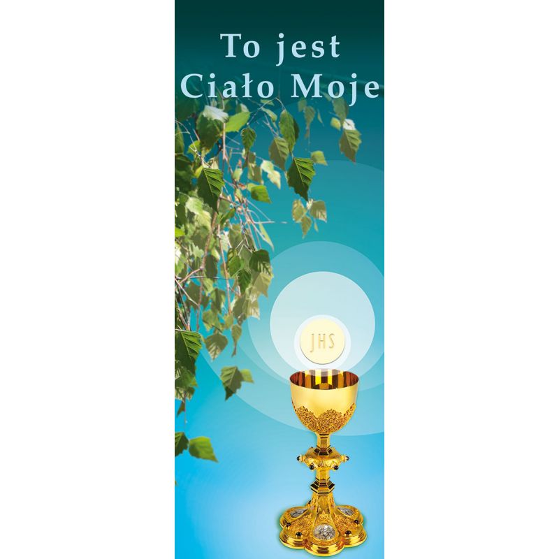 Baner Boże Ciało (26) - Baner Boże Ciało (26)