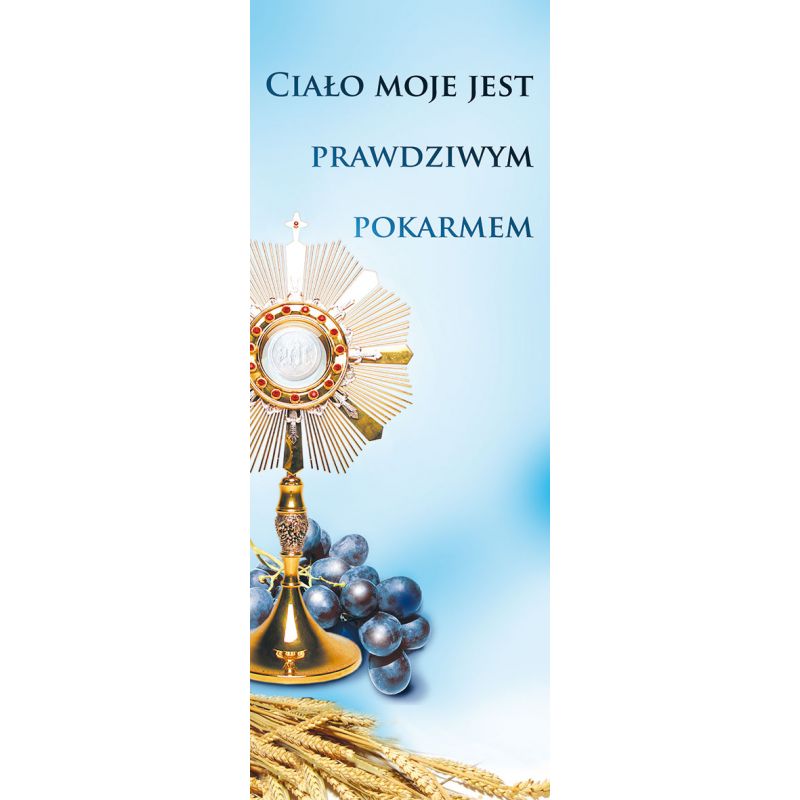 Baner Boże Ciało (29) - Baner Boże Ciało (29)
