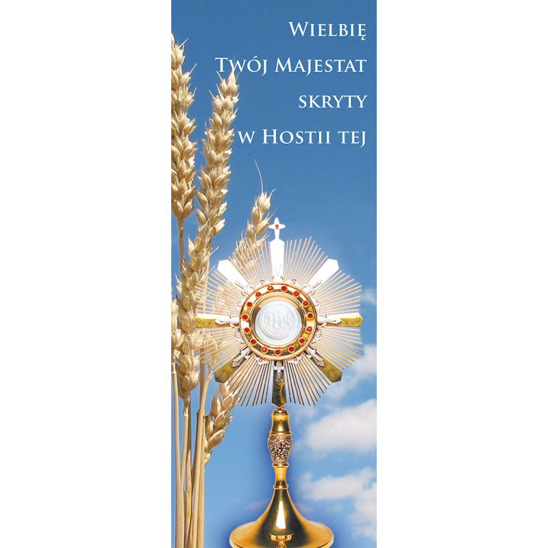 Baner Boże Ciało (31) - Baner Boże Ciało (31)