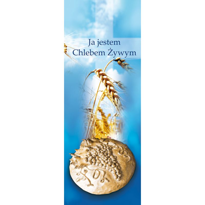 Baner Boże Ciało (38) - Baner Boże Ciało (38)