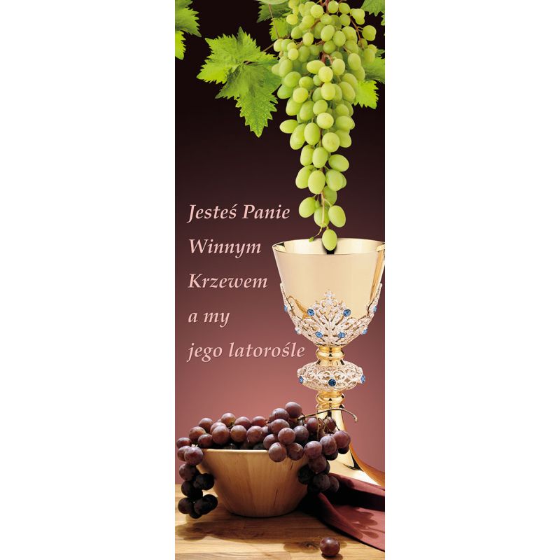 Baner Boże Ciało (40) - Baner Boże Ciało (40)