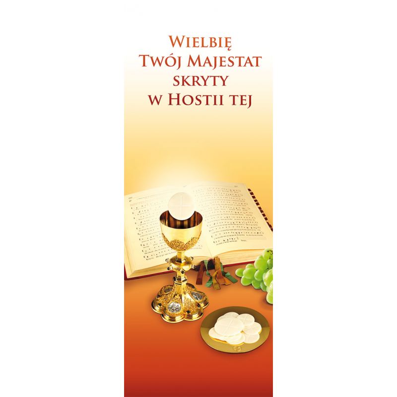 Baner Boże Ciało (46) - Baner Boże Ciało (46)
